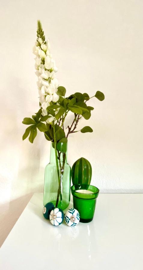 Die Zeitwohnung 美因河畔的霍赫海姆 外观 照片